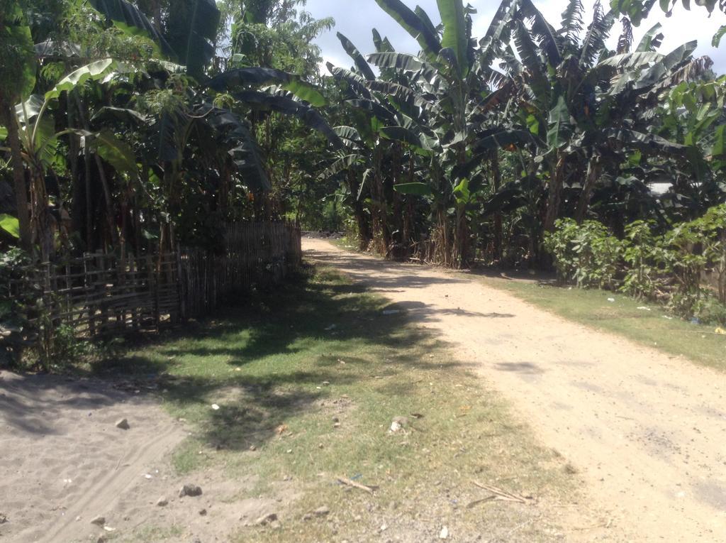 Rasti Homestay Kuta  外观 照片