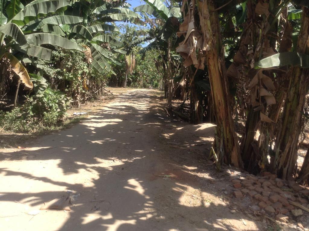 Rasti Homestay Kuta  外观 照片